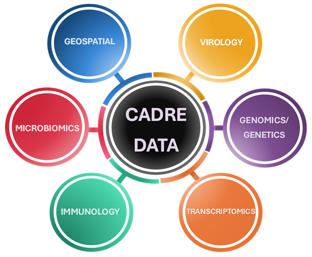 Spoke diagram with "CADRE Data" centered, and spokes going to "Virology", "Genomics/Genetics", "Transcriptomics", "Immunology", "Microbiomics", and "Geospatial"